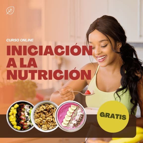 Curso de Iniciación a la Nutrición