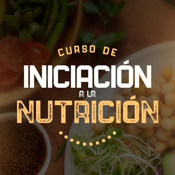 Curso de Iniciación a la Nutrición