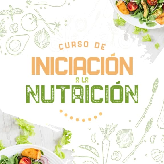 Curso de Iniciación a la Nutrición