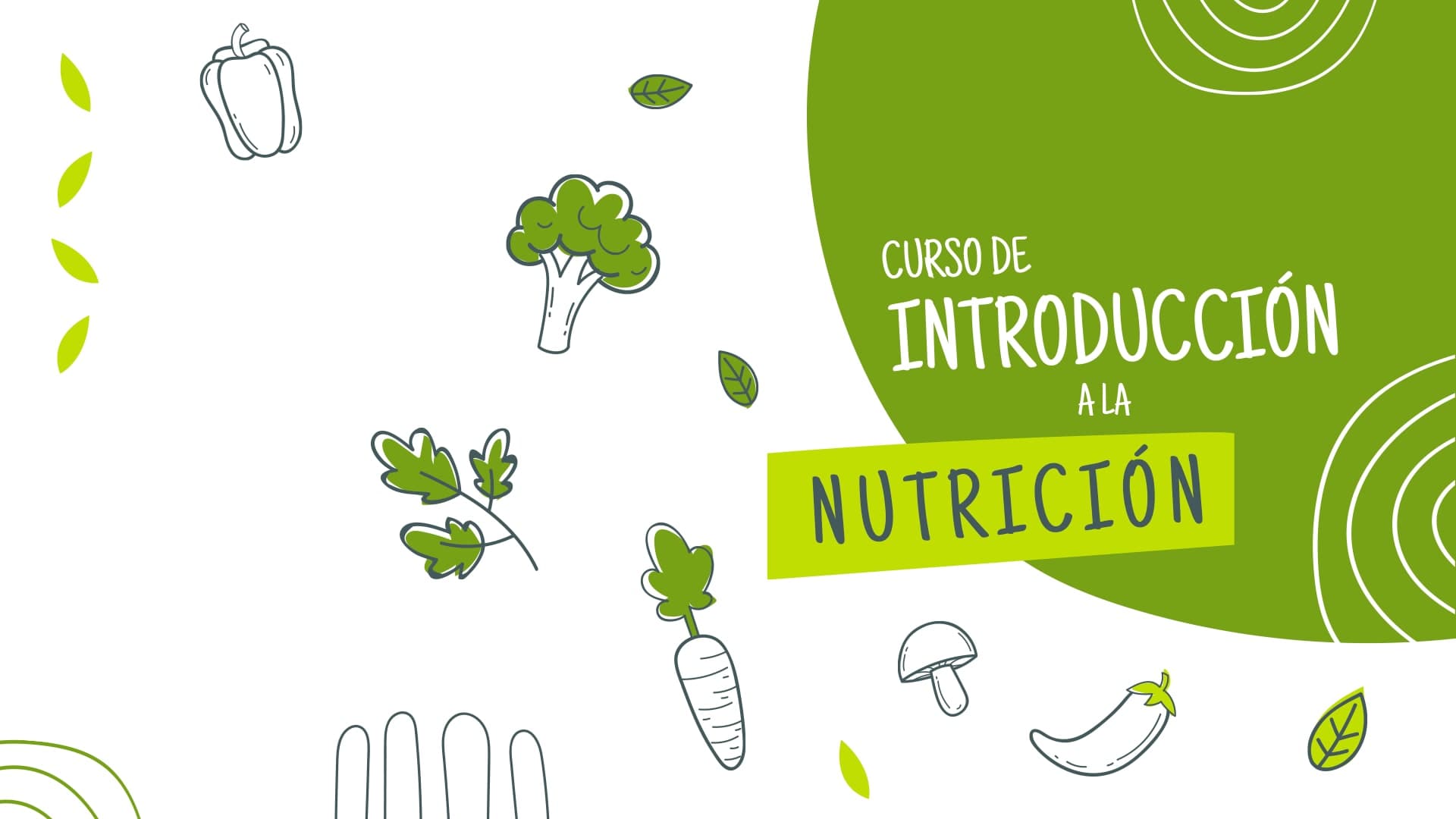 Curso de Iniciación a la Nutrición