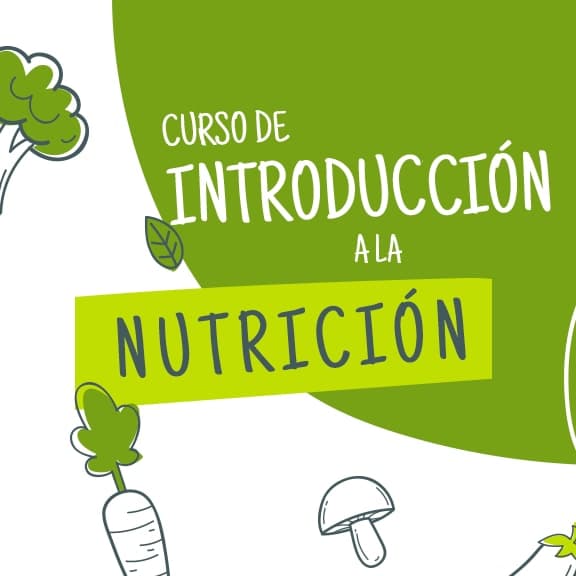 Curso de Iniciación a la Nutrición