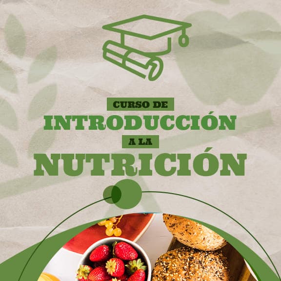 Curso de Iniciación a la Nutrición